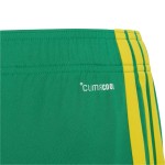Men's South Africa 2026 Home World Cup Shorts