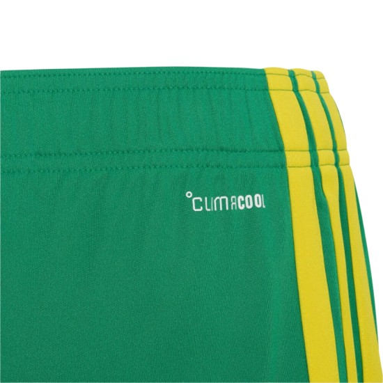 Men's South Africa 2026 Home World Cup Shorts
