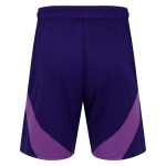 Men's Fulham 2024/25 Third Shorts