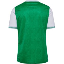 Men's ASSE 2025/26 Home Shirt