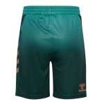 Kid's Werder Bremen 2025/26 Third Shorts