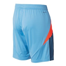 Women's Hamburger SV 2024/25 Special Shorts Women's Hamburger SV 2024/25 Special Shorts