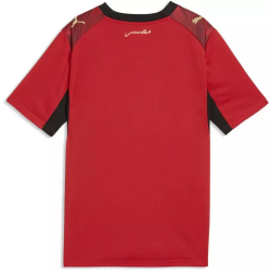 Men's Egypt 2026 Home World Cup Shirt Men's Egypt 2026 Home World Cup Shirt