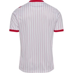 Men's Denmark 2026 Away World Cup Shirt