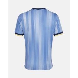 Men's Tottenham Hotspur 2024/25 Away Shirt