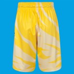 Men's Crystal Palace 2024/25 Away Shorts
