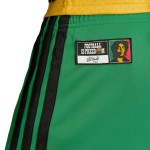 Kid's Jamaica 2026 Home World Cup Shorts Kid's Jamaica 2026 Home World Cup Shorts