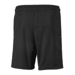 Women's SpVgg Greuther 2024/25 Third Shorts
