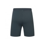Men's RCD Espanyol 2024/25 Third Shorts Men's RCD Espanyol 2024/25 Third Shorts