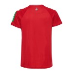 Men's 1. FC Köln 2024/25 Away Shirt