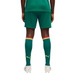 Men's Senegal 2026 Away World Cup Shorts