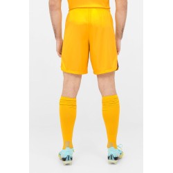 Men's FC Barcelona 2023/24 Fourth LFP Shorts Men's FC Barcelona 2023/24 Fourth LFP Shorts