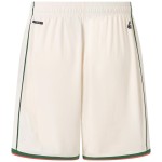 Women's OGC Nice 2025/26 Away Shorts