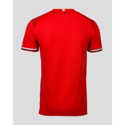 Men's FC Twente 2024/25 Home Europa League Shirt