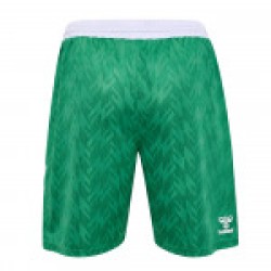 Women's Werder Bremen 1846 2024/25 Home Shorts - Green