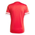 Men's Brest 2025/26 Third Prematch Shirt - Red