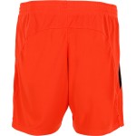 Men's SC Paderborn 07 2024/25 Third Shorts