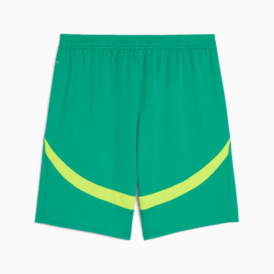 Men's Senegal 2025 Away Shorts