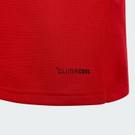 Kid's Wales 2025/26 150th Anniversary Long Sleeve Shirt Kid's Wales 2025/26 150th Anniversary Long Sleeve Shirt