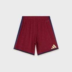 Women's Djurgårdens IF 2026 Away Shorts