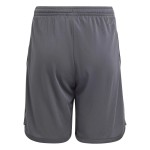 Kid's Juventus 2023/24 Third Shorts