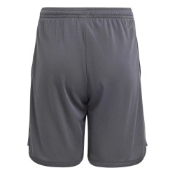 Kid's Juventus 2023/24 Third Shorts