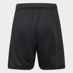Women's 1.FC Union Berlin 2024/25 Away Shorts