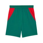 Men's Senegal 2026 Away World Cup Shorts