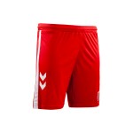 Women's SSV Jahn Regensburg 2024/25 Home Shorts Women's SSV Jahn Regensburg 2024/25 Home Shorts