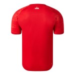 Men's LOSC 2024/25 Home Pre Match Shirt