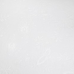 Men's Dynamo Dresden 2025/26 Special Whiteout Shirt