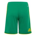 Men's South Africa 2026 Home World Cup Shorts