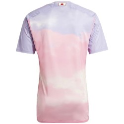 Japan Away Jersey 23/24