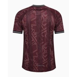 Men's Denmark 2024 Special Shirt