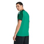 Men's Algeria 2026 Away World Cup Shirt