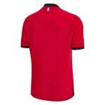 Georgia Third Jersey EURO 2024