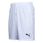 Men's 1. FC Heidenheim 1846 2024/25 Third Shorts