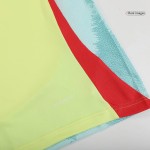 Spain Player Version Away Jersey EURO 2024