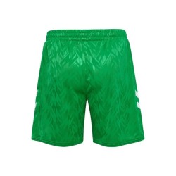 Men's Real Betis 2024/25 Home Shorts - Green