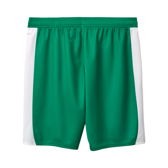 Men's SpVgg Greuther 2025/26 Away Shorts