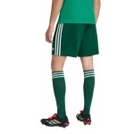 Women's Algeria 2026 Away World Cup Shorts