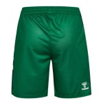 Kid's Werder Bremen 2025/26 Home Shorts - Green