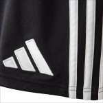 Men's OL 2025/26 Third Europe Shorts