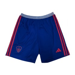 Men's Brest 2024/25 Third Shorts