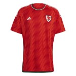 Wales Home Jersey World Cup 2022