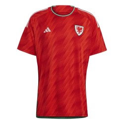 Wales Home Jersey World Cup 2022