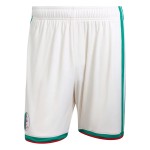 Kid's Algeria 2026 Home World Cup Shorts