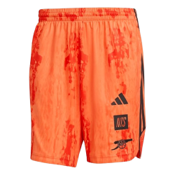 Men's Arsenal x NTS 2025/26 Urban Purist Shorts