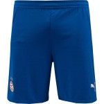 Men's PSV 2024/25 Third Shorts