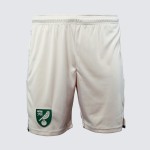 Men's Norwich City 2024/25 Third Shorts
